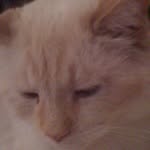 Mike Devaney - @mike.devaney.522 - Instagram