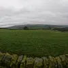 mikedevaney2 - @mikedevaney2 - TikTok