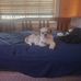 David Mike - Facebook