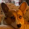 MikeMcDevitt - @mm52407 - TikTok