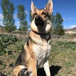 Mike Devore - @mikedevore22 - Instagram