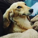 Mike Dietrich - @mike.dietrich.art - Instagram