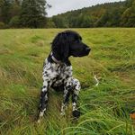 Mike Dietrich - @mikedietrich_ - Instagram