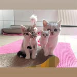 Mike Dietrich - @mike68funn - Instagram