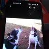 Mike L Dillingham - @mike.l.dillingham - TikTok