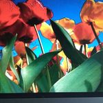 Mike Dinh - @mike.dinh.585 - Instagram