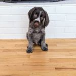 Mike Dinkel - @mike.dinkel701 - Instagram