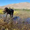 Mike Dinkel - @mikedinkel - TikTok