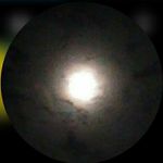 Mike Dinkel - @dinkelmike_ - Instagram