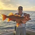 Mike Donato - @mike.donato.1293 - Instagram
