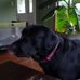 Mike Donato - Facebook