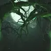 Mike Dong201 - @mikedong2011 - TikTok