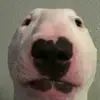 Mike Dong - @fingerlickinggood8 - TikTok