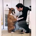 Mike Donohoe - @m_r_dono - Instagram