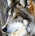 Michael Doubleday - Facebook