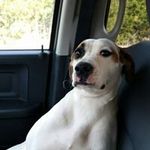 Mike Dover - @dover9225 - Instagram