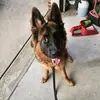 mike dowell - @mrawesome123456 - TikTok