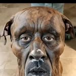 Mike Dowell - @mikedowell_69 - Instagram