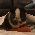 Mike Dowling - @mikey10123456 - Instagram