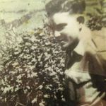 Mike Dowling - @mike.dowling.9883 - Instagram