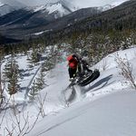 Mike DOwling - @mike.dowling - Instagram