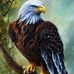 Mike Dowling - Facebook