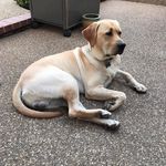 Mike Drust - @my4bagger - Instagram