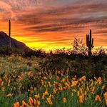 Mike Drust - @mikedrust - Instagram