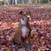 Mike Duke - Facebook
