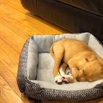 Mike Duke - @mikeduke0309 - Instagram