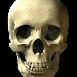 mike dukes - @supermike_dukes - Instagram