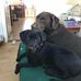 Mike Dunkley - Facebook