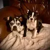 Mike Dunning - @mjdunning162734 - TikTok