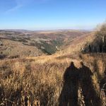 Mike Eberhardt - @eberhardtmike - Instagram