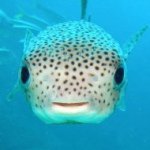 Mike Eberle - @scubanbeer - Instagram
