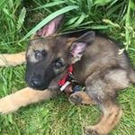 Mike Echols - @mike.echols.142 - Instagram