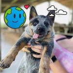 Mike Eckley - @mikeandsharly - Instagram
