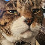 Mike Eldred - @eldred3021 - Instagram