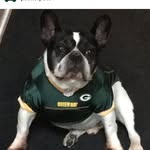 Mike Eldred - @mikeeldred10 - Instagram