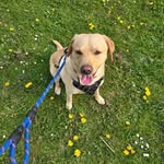 Michael Ellison - @mikeellison71 - Instagram
