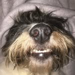 Mike Elson - @m._elson_ - Instagram