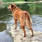Mike Emerick - @mikeemerick42 - Instagram