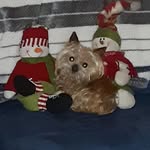 Mike Emrick - @emrickm5 - Instagram