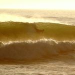 Mike Engels - @mengels3 - Instagram