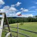 Mike Ennis - Facebook