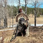 Mike Esch - @elitemike03 - Instagram