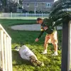 mikeesch - @mikeesch5 - TikTok