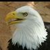Mike Esparza - Facebook