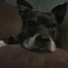 Mike Griffith - @mike.griffith45 - TikTok