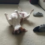 Mike Grogan - @mikeg7265 - Instagram